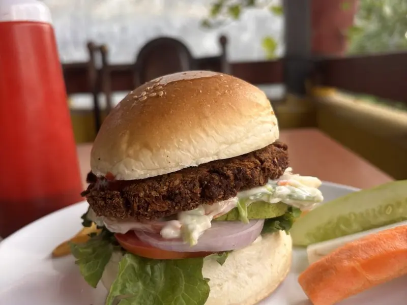 Burger — बर्गर